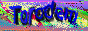 Torodem